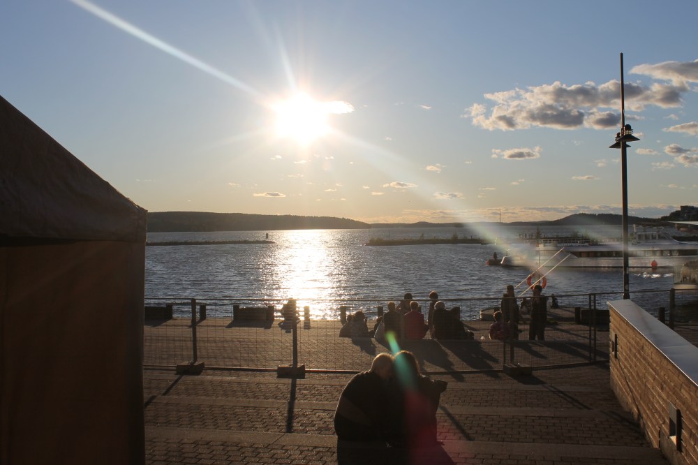 Desucon 2015 saatiin päätökseen ja säätkin lähes suosi tällä kertaa :)